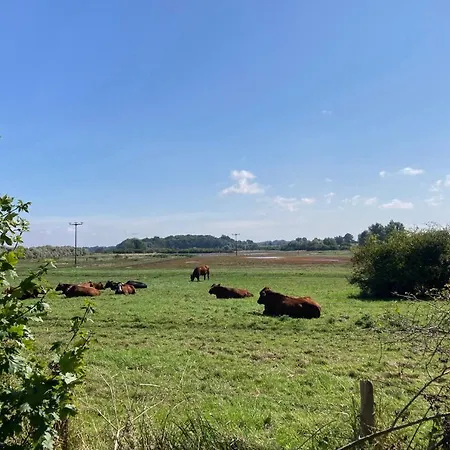 Bades Huk Haus 16 68 - Og Lejlighed Hohen Wieschendorf